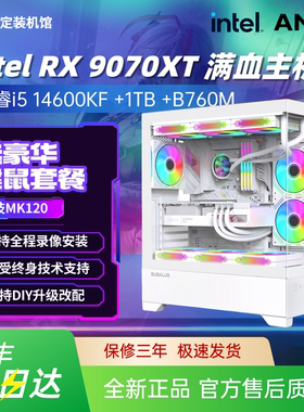 RX 9070 XT满血电脑主机245KF/265K游戏电竞16G台式DIY电脑组装机