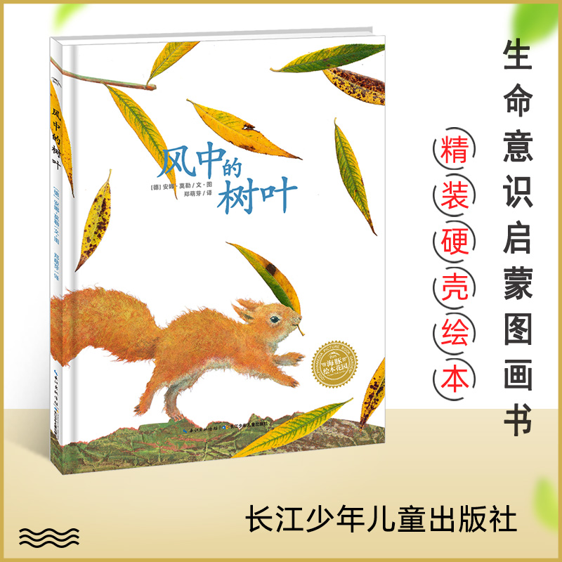 风中的树叶 精装硬壳 海豚绘本花园 3-6岁宝宝幼儿园大班中班小班图画故事生命教育启蒙书 幼儿成长早教书籍益智亲子睡前故事 正版