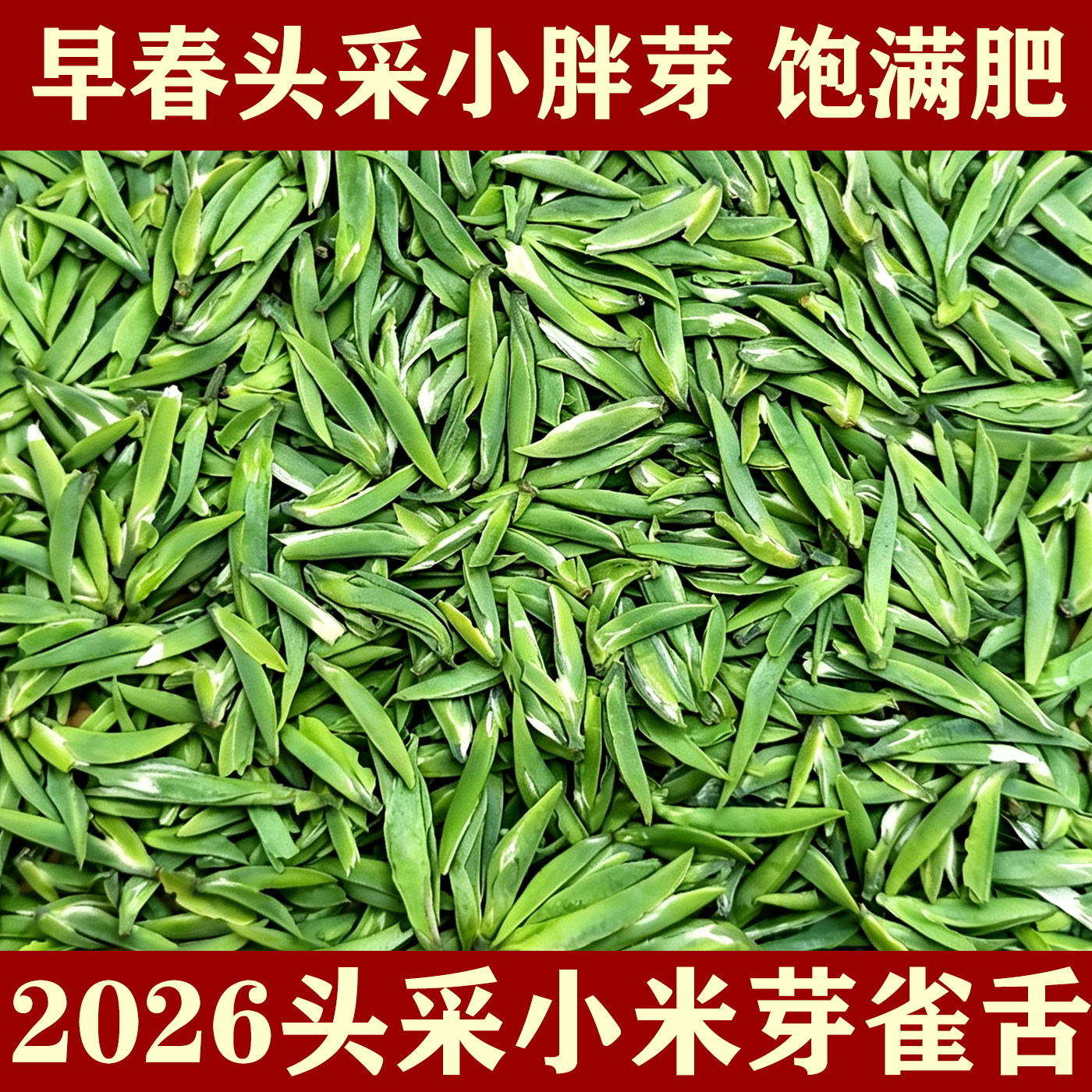2026新茶上市头采雀舌蒙顶山茶图片