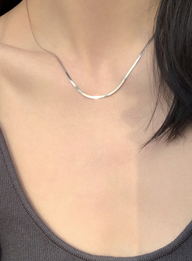 DOUDOUSTORE好质感细版银色蛇骨链项链女欧美极简百搭颈链锁骨链