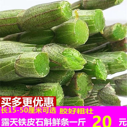 正宗粗壮长条新鲜铁皮石斛鲜条500g食用仿野外一斤枫斗花干中药材