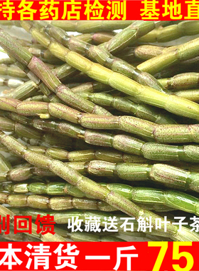 优价最粗壮铁皮石斛鲜条500g仿野外滋补新鲜非云霍山枫斗保健营养