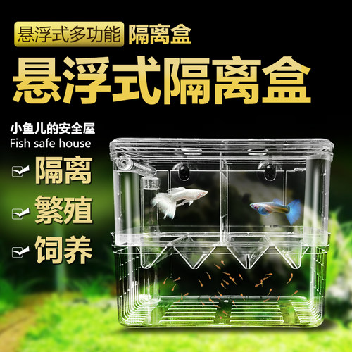 鱼苗繁殖盒孔雀鱼产鱼孵化器鱼缸