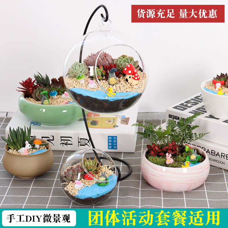 diy暖场材料包瓶子苔藓微景观