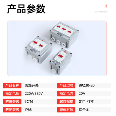 三相开关220v380v防水防尘防爆断路器