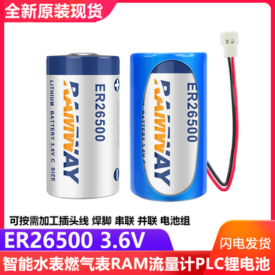 睿奕ER265003.6V物联网2号电池