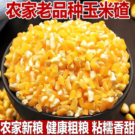 玉米糁大碴子新黄玉米苞谷粘碴子大粒玉米碴子玉米碎干甜玉米粒粥