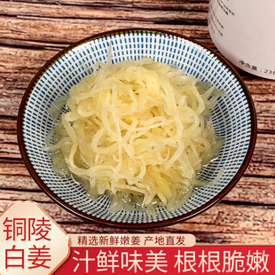 无添加安徽特产铜陵生姜白姜嫩姜丝清脆爽口无渣嫩生姜糖醋泡泡菜