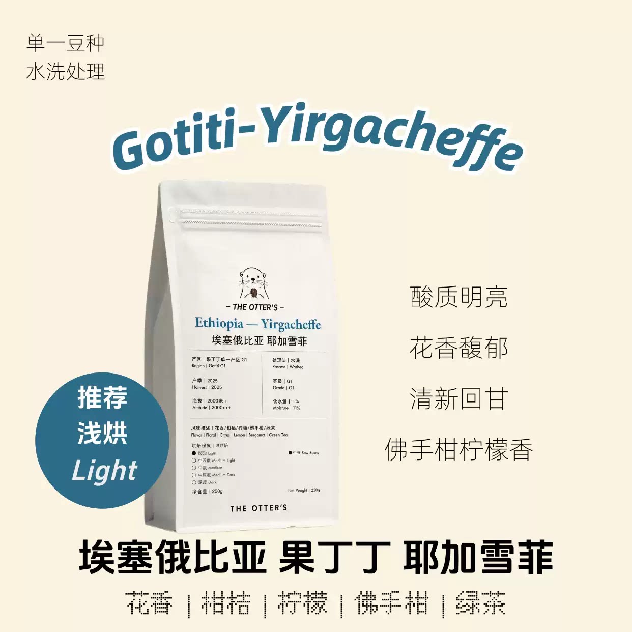 2026埃塞进口耶加雪菲G1生豆手冲图片