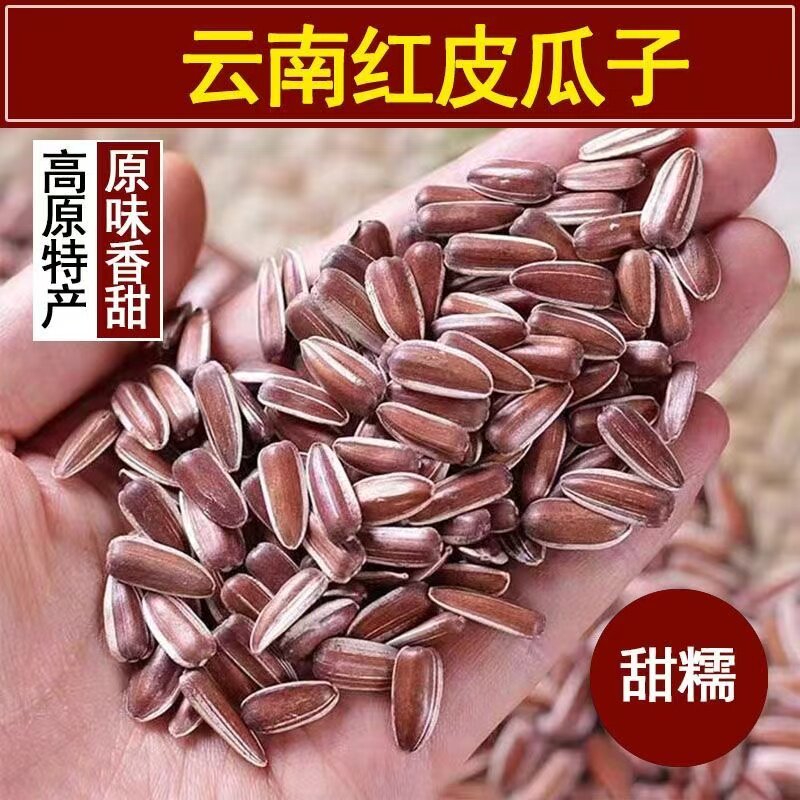 新货云南红皮瓜子葵花籽