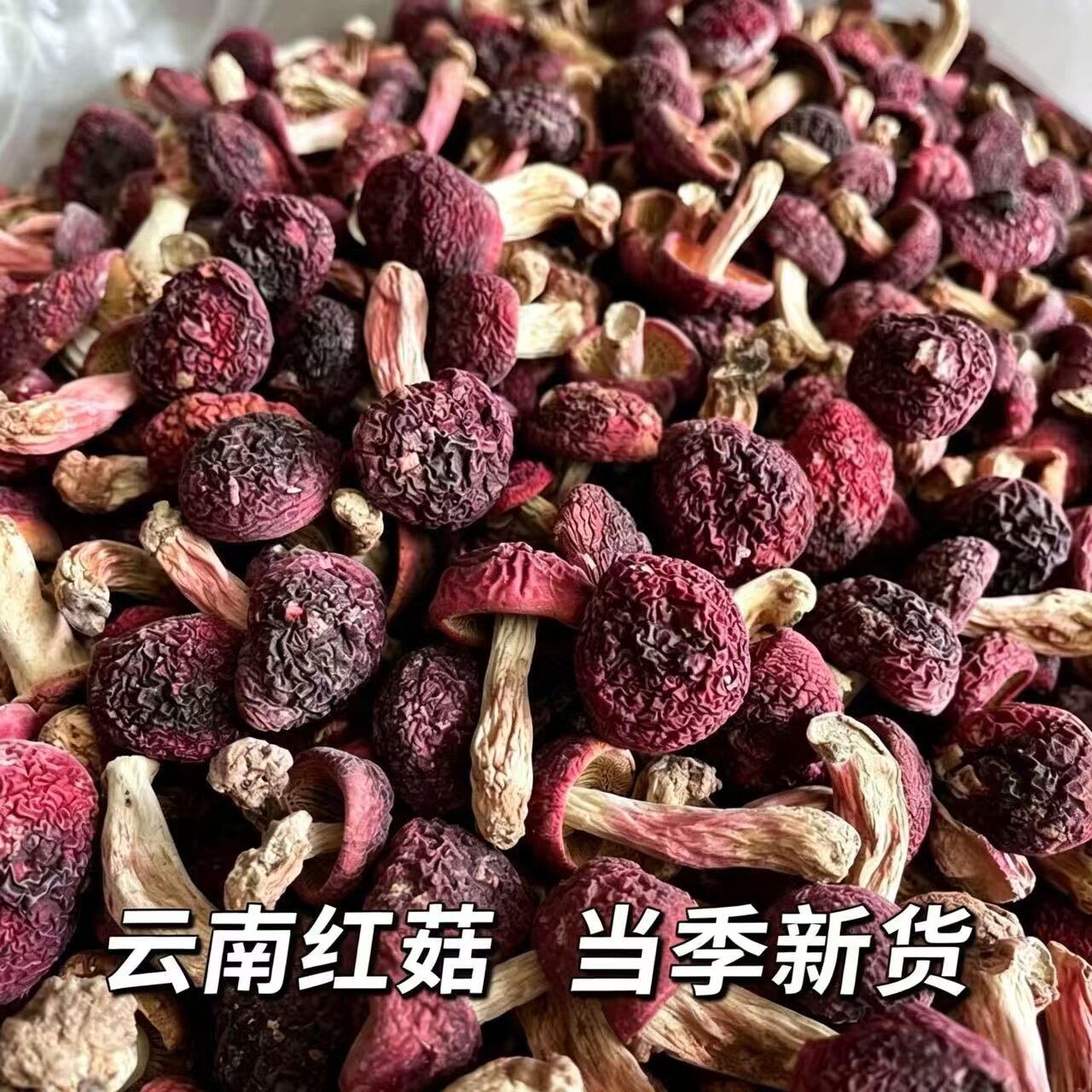 云南特产红菇食用菌蘑菇月子菇