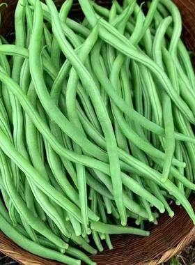 无筋豆角四季豆新鲜蔬菜大豆角批发架刀豆无茎扁豆角贵州农家