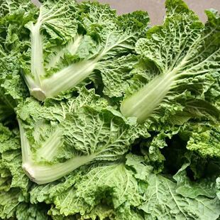 贵州时令蔬菜新鲜麻叶菜散装蔬菜生鲜特价火锅菜现砍现发