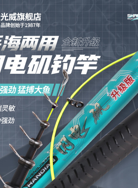 光威闪电矶升级版手海两用大导环矶钓竿海竿抛投碳素超硬钓鱼矶竿
