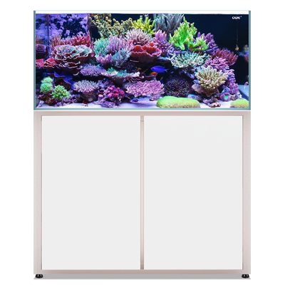 彩鲽新升级内外海水hlw底缸背包