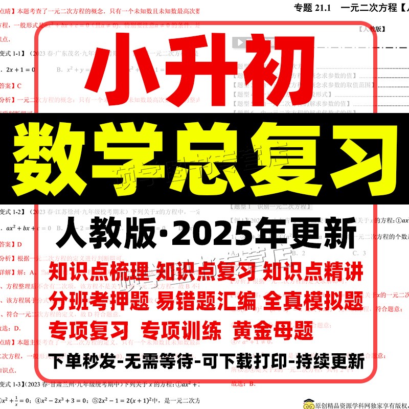 2025年人教版小学六年级数学小升初总复习资