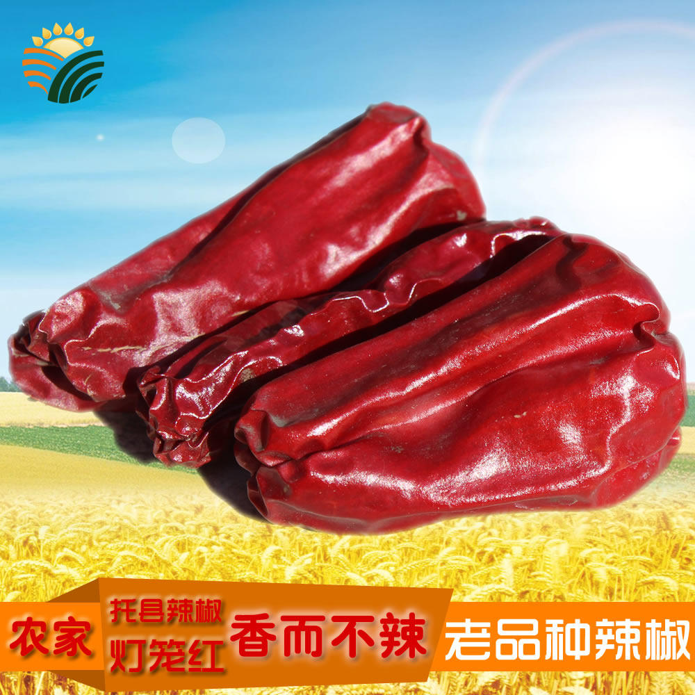 托县灯笼红辣椒老品种香而微辣油泼辣子干调料内蒙古特产500g包邮