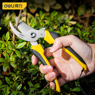 得力修枝剪园艺剪刀家用修剪树枝剪刀果枝剪刀不锈钢园林园艺剪子