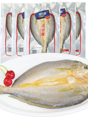 威尔斯调味腌制免杀宁德黄鱼鲞