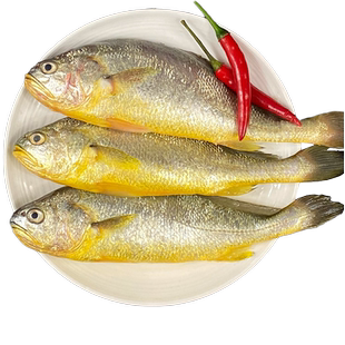 威尔斯500g*3袋 生态小黄鱼 黄花鱼海鲜宁德大黄鱼三都澳食品出品