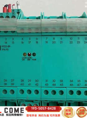 倍加福安全柵KFD2-BR-1PA.93详谈报价