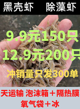 黑壳虾水草除藻虾观赏虾清洁虾活体虾宠物虾秀丽白虾包邮无包装费