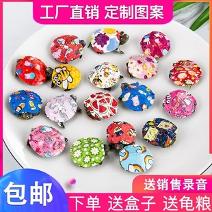 炫彩乌龟活物观赏小宠物龟粮工厂七彩图案活体小乌龟彩龟巴西龟缸