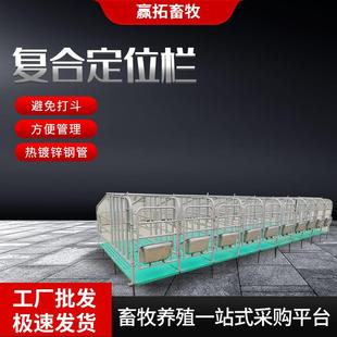 厂家母猪复合定位栏热镀锌钢管母猪产床限位栏养猪场养猪设备
