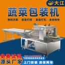 机械上门安装 厂家供应多功能枕式 豆芽蔬菜包装 机DJ600间歇式 包装