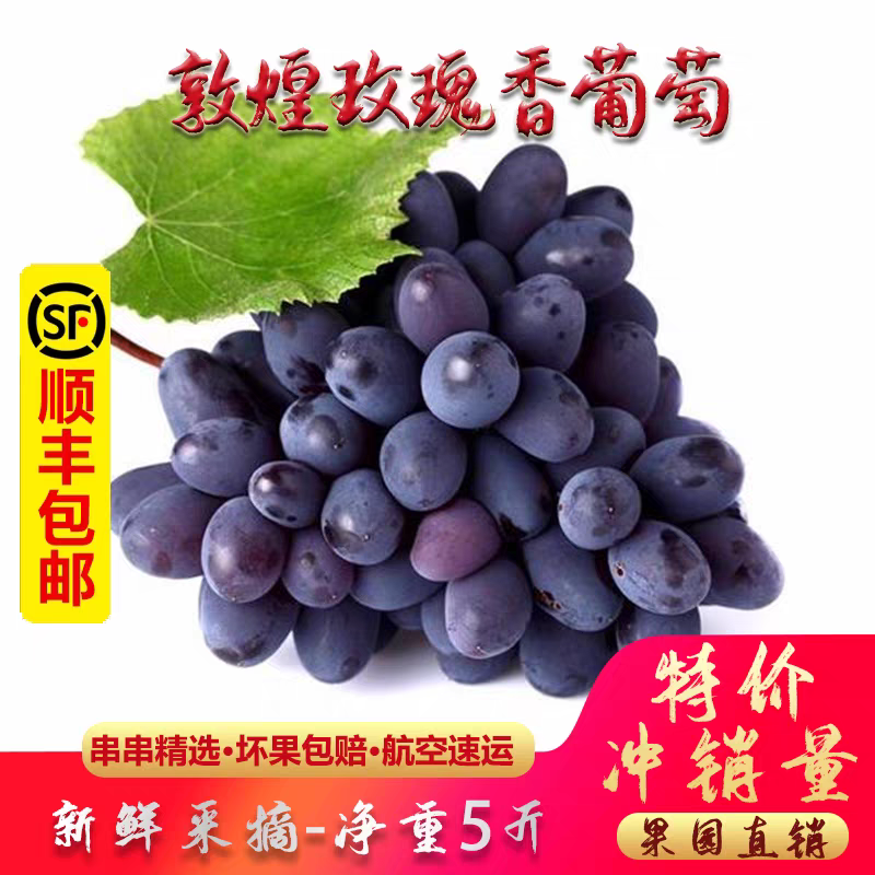 甘肃敦煌玫瑰香葡萄现摘新鲜甜马奶提子无子籽当季水果非夏黑包邮