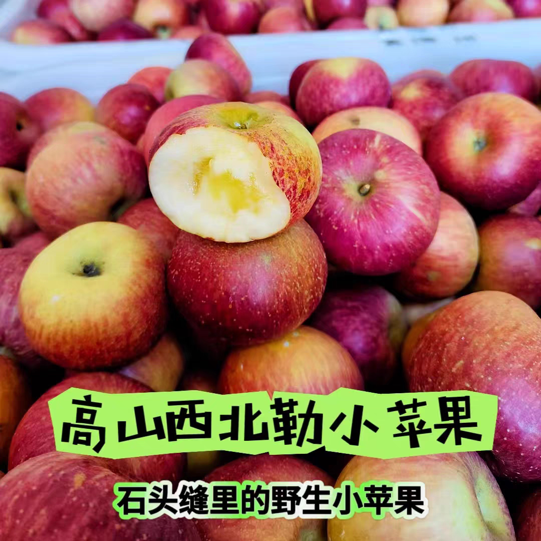 冰糖心丑苹果云南蒙自西北勒高山苹果
