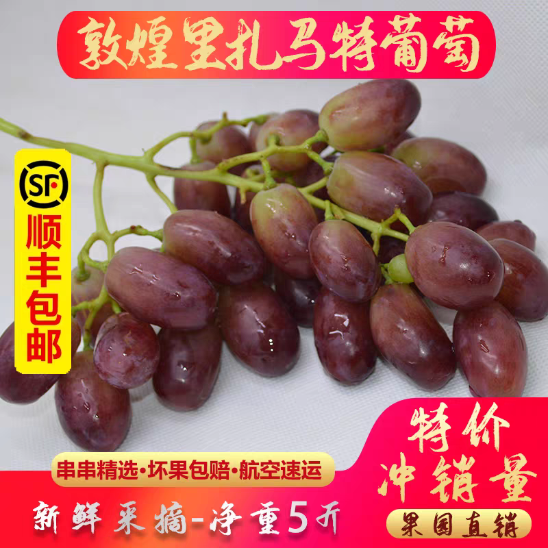 甘肃敦煌马特葡萄新鲜玛特脆甜现摘马奶提子当季特产水果整箱包邮
