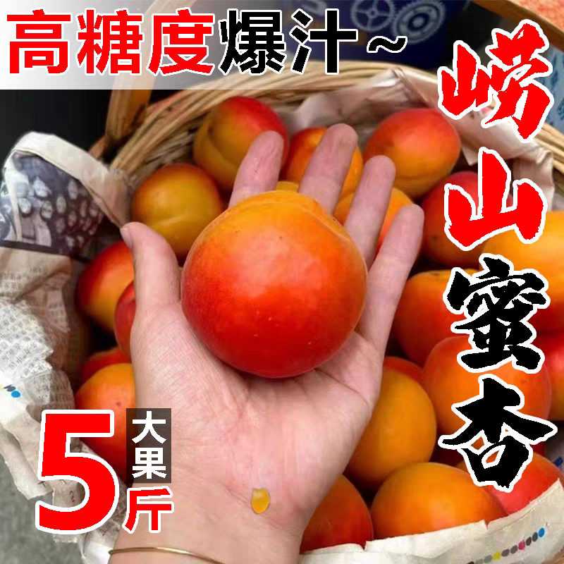 山东青岛崂山蜜杏二号2新鲜水果5斤红杏子非新疆小红白杏子大黄杏