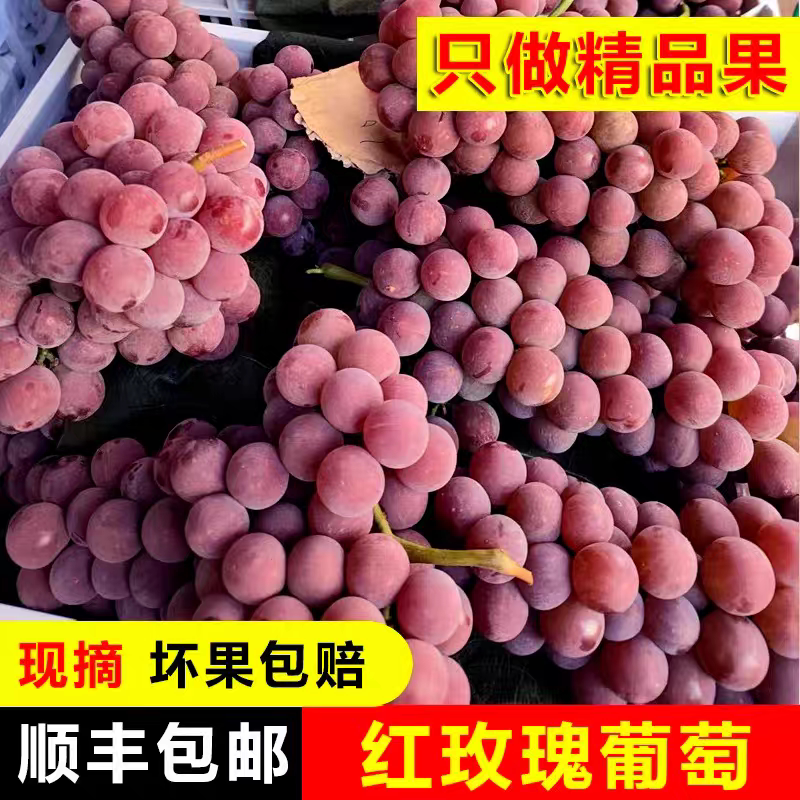 云南红玫瑰葡萄新鲜水果当季现摘葡萄/提子