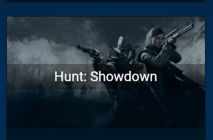 BC/CFF猎杀对决优化工具/即开即用/稳定可靠/Hunt：Showdown