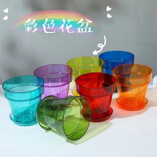 彩虹系列透明彩色多肉朱顶红热植蝴蝶兰文心兰塑料透气多巴胺花盆