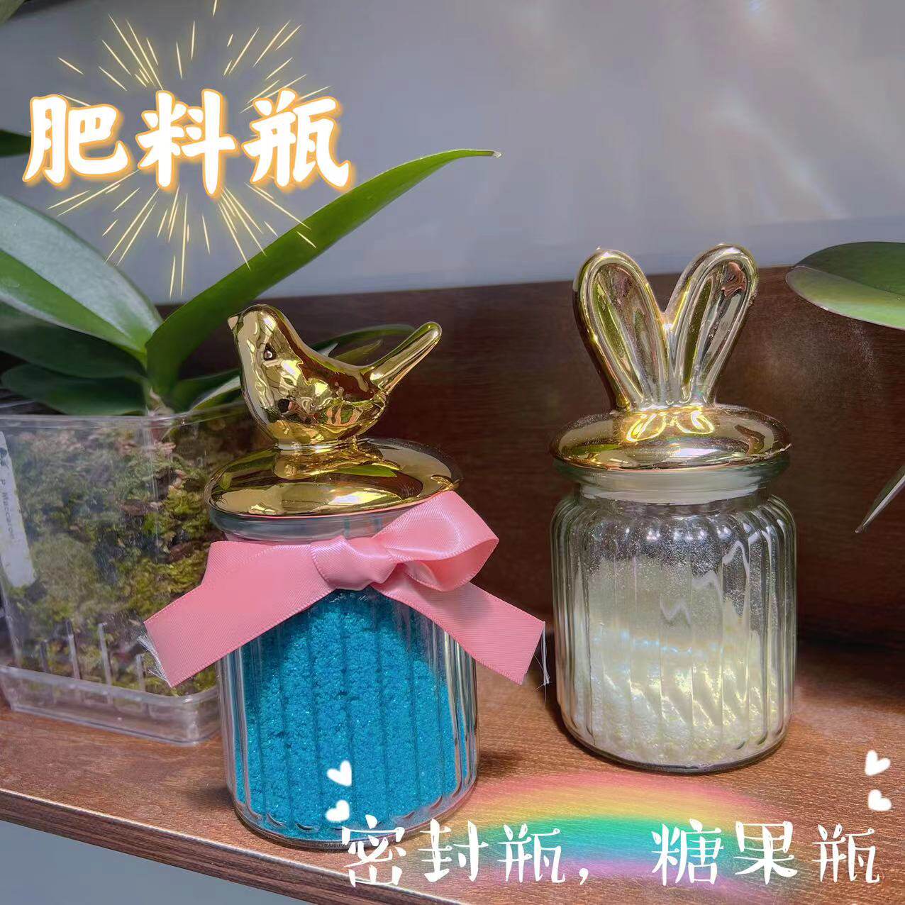 肥料瓶欧式创意陶瓷玻璃密封罐储物糖果首饰瓶植物diy装饰摆件