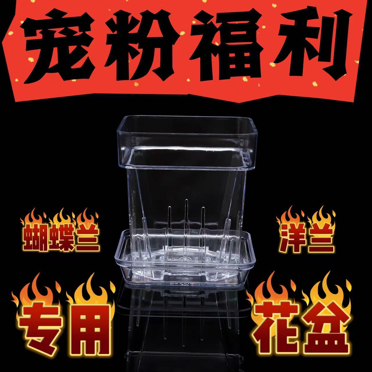 蝴蝶兰石斛专用简约方形塑料花盆透明透气壁挂带侧多个尺寸组合