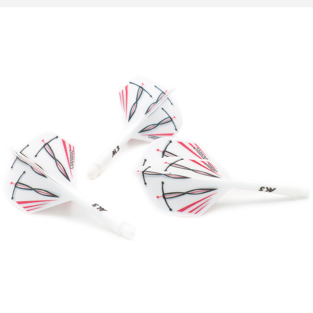 CUESOUL文礼豪镖手同款AK5小