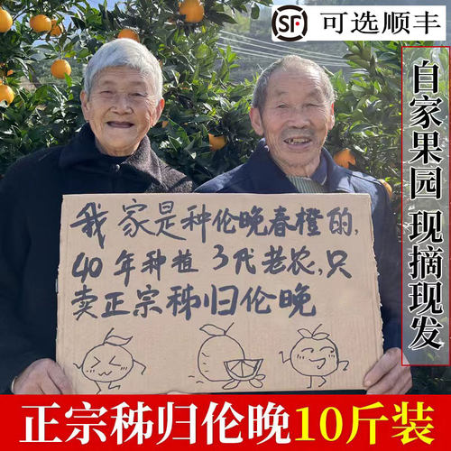2026年伦晚春橙秭归现摘超甜多汁
