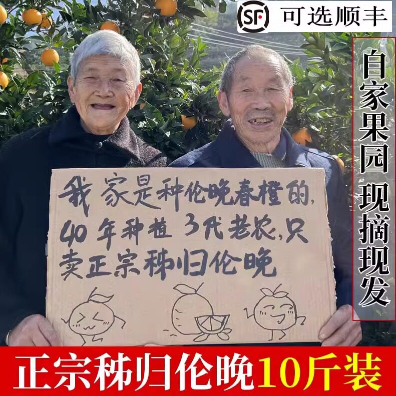 2026现摘有货正宗秭归伦晚春橙脐橙水果新鲜手剥大果橙子超甜10斤
