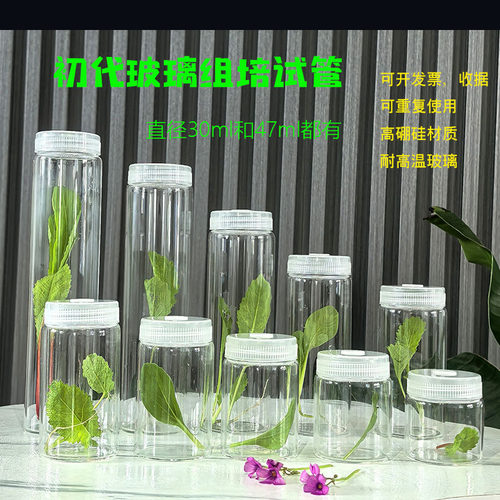 高硼硅耐高温灭菌组培瓶