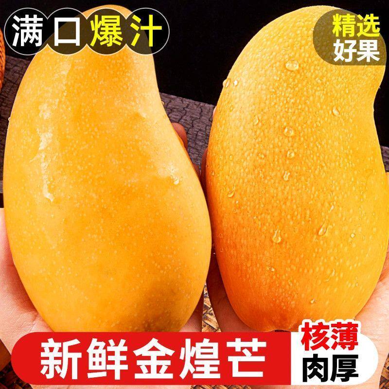 云南金煌芒10斤装新鲜水果潞江芒果