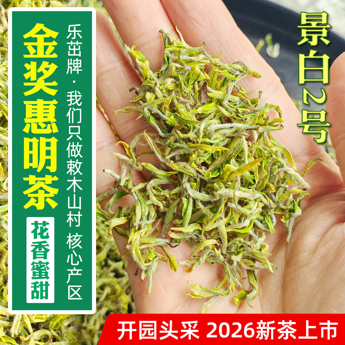 景白2号白玉仙【精品头采5优金奖惠明茶】2026年新茶景宁手工绿茶