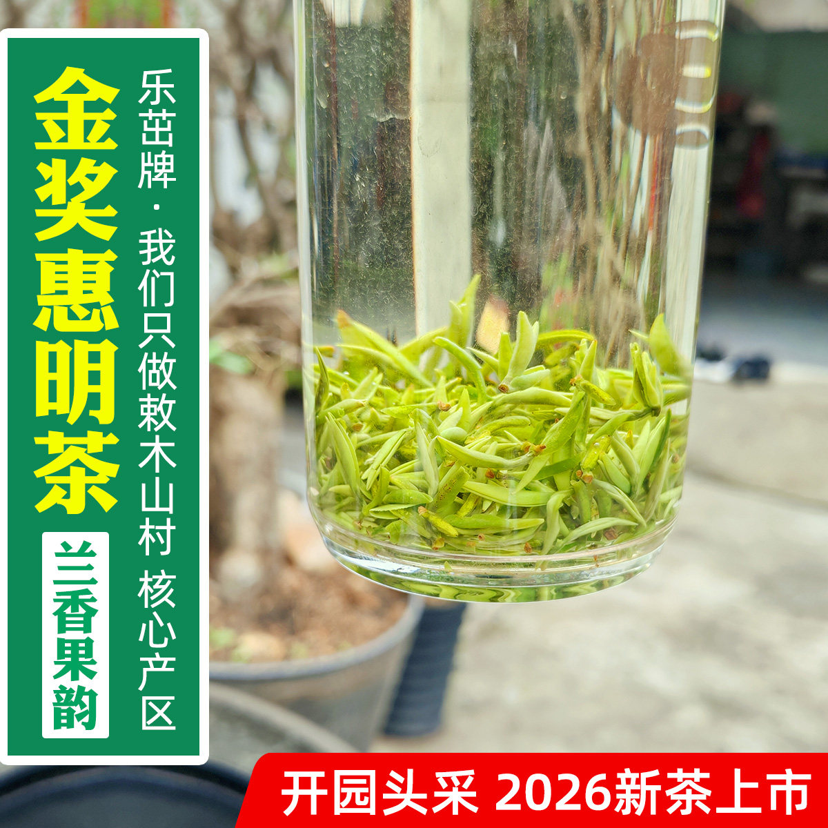 兰花香乐茁2026年新茶金奖惠明茶 开园头采嫩小 明前景宁手工绿茶