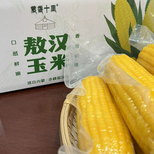 蒙香十里香糯黄金敖汉玉米非转基因内蒙古敖汉特产早餐软玉米