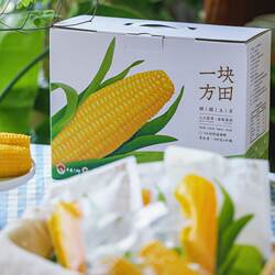 一块方田真空鲜食甜糯玉米东北吉林公主岭软糯黄香甜玉米10根礼盒