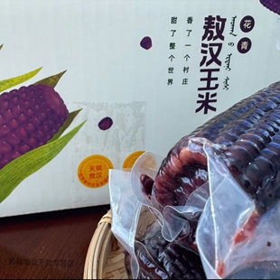 蒙古阳光甜糯敖汉花青黑糯玉米42度新鲜糯玉米真空包装早餐软玉米