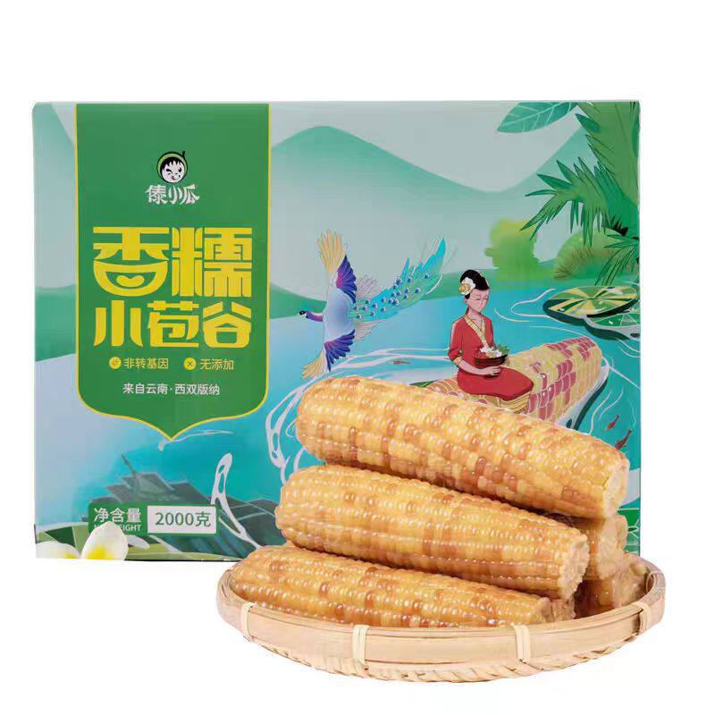 傣小瓜云南西双版纳香糯小苞谷新鲜真空甜糯代餐早餐粗粮玉米