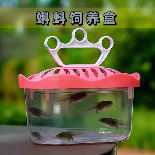 蝌蚪饲养盒儿童小鱼缸乌龟盒皇冠